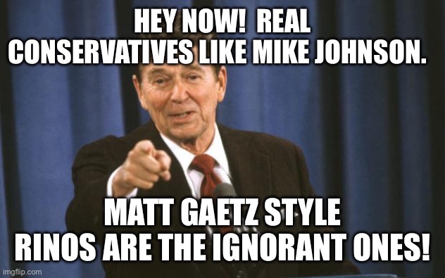 HEY NOW!  REAL CONSERVATIVES LIKE MIKE JOHNSON. MATT GAETZ STYLE RINOS ARE THE IGNORANT ONES! | image tagged in ronald reagan | made w/ Imgflip meme maker