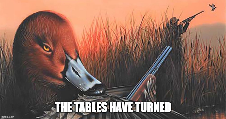 Dead Duck | THE TABLES HAVE TURNED | image tagged in ducks | made w/ Imgflip meme maker