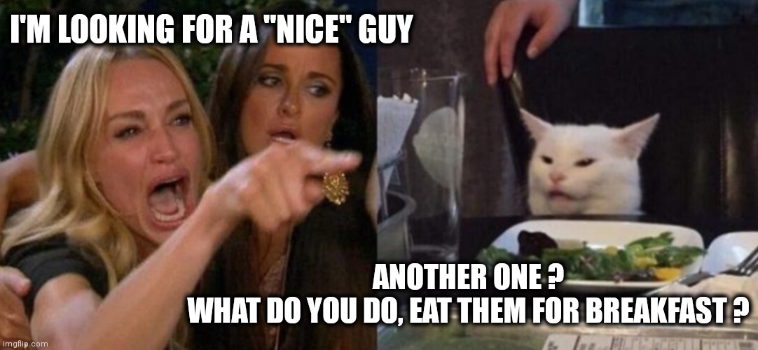 Nice guys | I'M LOOKING FOR A "NICE" GUY; ANOTHER ONE ?
WHAT DO YOU DO, EAT THEM FOR BREAKFAST ? | image tagged in smudge and karen | made w/ Imgflip meme maker