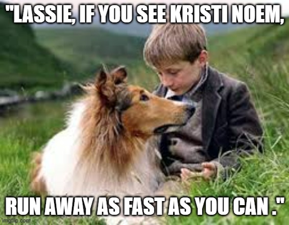 memes by Brad - Kristi Noem shooting her dog - humor | "LASSIE, IF YOU SEE KRISTI NOEM, RUN AWAY AS FAST AS YOU CAN ." | image tagged in funny,fun,dogs,funny meme,politician,humor | made w/ Imgflip meme maker