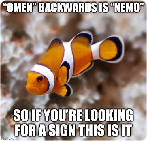 Ocellaris clownfish Nemo | “OMEN” BACKWARDS IS “NEMO”; SO IF YOU’RE LOOKING FOR A SIGN THIS IS IT | image tagged in ocellaris clownfish nemo | made w/ Imgflip meme maker
