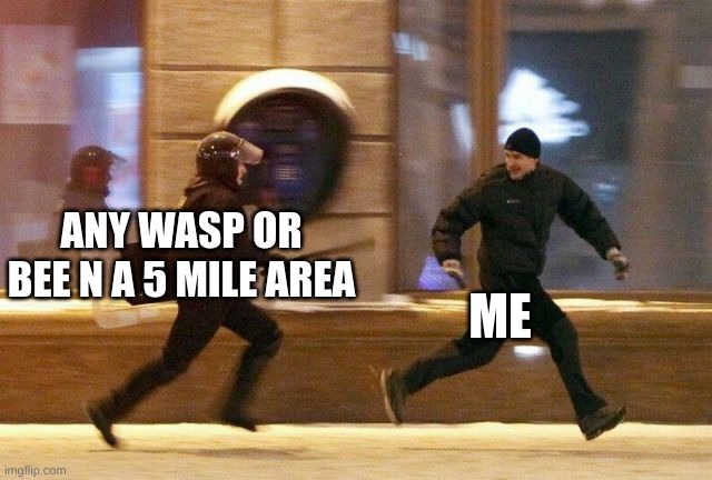 Police Chasing Guy | ANY WASP OR BEE N A 5 MILE AREA ME | image tagged in police chasing guy | made w/ Imgflip meme maker