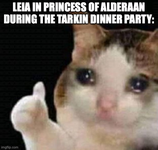 sad thumbs up cat | LEIA IN PRINCESS OF ALDERAAN DURING THE TARKIN DINNER PARTY: | image tagged in sad thumbs up cat | made w/ Imgflip meme maker