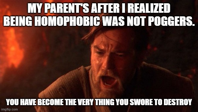 You were meant to destroy the sith | MY PARENT'S AFTER I REALIZED BEING HOMOPHOBIC WAS NOT POGGERS. YOU HAVE BECOME THE VERY THING YOU SWORE TO DESTROY | image tagged in you were meant to destroy the sith | made w/ Imgflip meme maker
