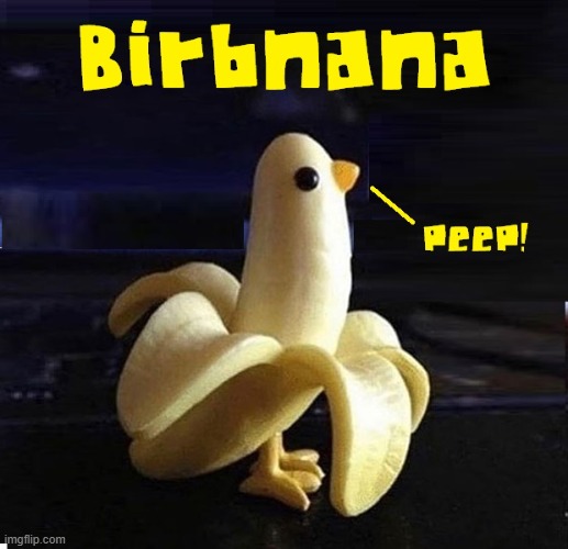 Facts: Birbnana hates to be caged & their poop is edible | image tagged in vince vance,birb,banana,peep,memes,blueberry | made w/ Imgflip meme maker