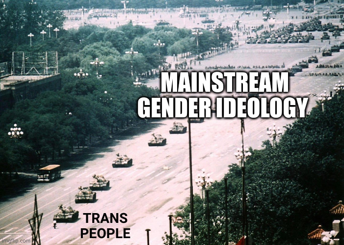 How it feels for Trans People these days (Scarf_ note: as a trans gal, I agree) | MAINSTREAM GENDER IDEOLOGY; TRANS PEOPLE | image tagged in full tiananmen square photo,transgender,mainstream,gender identity,memes,lgbtq | made w/ Imgflip meme maker