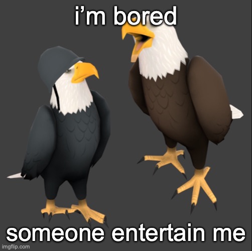 tf2 eagles | i’m bored; someone entertain me | image tagged in tf2 eagles | made w/ Imgflip meme maker