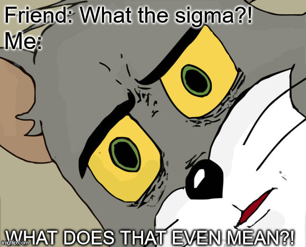 Unsettled Tom Meme | Friend: What the sigma?! Me:; WHAT DOES THAT EVEN MEAN?! | image tagged in memes,unsettled tom | made w/ Imgflip meme maker
