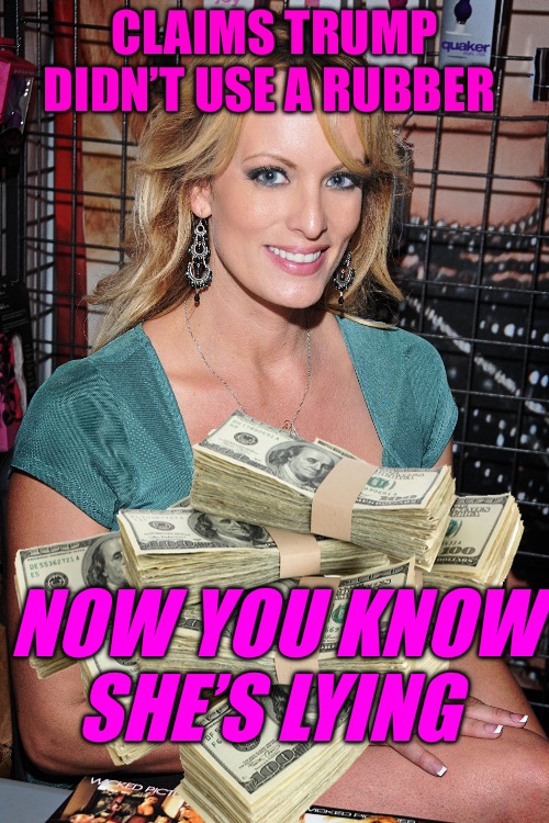 The Shill | CLAIMS TRUMP DIDN’T USE A RUBBER; NOW YOU KNOW SHE’S LYING | image tagged in stormy daniels,liar,donald trump,political humor,political memes,red pill | made w/ Imgflip meme maker