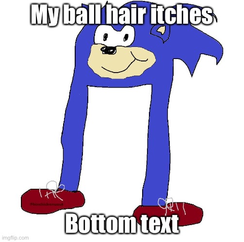 a | My ball hair itches; Bottom text | image tagged in sonic hedgehog movie legs heck wtf | made w/ Imgflip meme maker