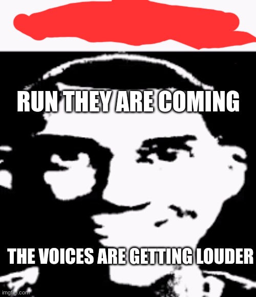 Meme | RUN THEY ARE COMING; THE VOICES ARE GETTING LOUDER | image tagged in can we ban this guy | made w/ Imgflip meme maker