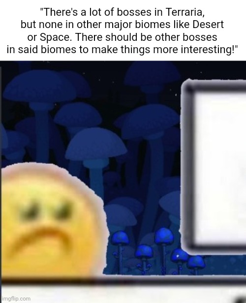 Poor glowing mushroom biome. | "There's a lot of bosses in Terraria, but none in other major biomes like Desert or Space. There should be other bosses in said biomes to make things more interesting!" | image tagged in funny,memes,terraria,video games | made w/ Imgflip meme maker