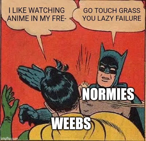 I hate it when us weebs are treated badly just for liking anime -_- | I LIKE WATCHING ANIME IN MY FRE-; GO TOUCH GRASS YOU LAZY FAILURE; NORMIES; WEEBS | image tagged in memes,batman slapping robin | made w/ Imgflip meme maker