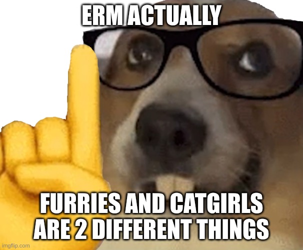 nerd dog sticker | ERM ACTUALLY FURRIES AND CATGIRLS ARE 2 DIFFERENT THINGS | image tagged in nerd dog sticker | made w/ Imgflip meme maker