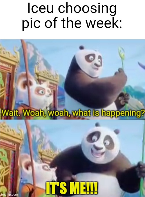 It's a joke btw | Iceu choosing pic of the week:; IT'S ME!!! | image tagged in it's me,iceu,kung fu panda,pictures,funny,real | made w/ Imgflip meme maker