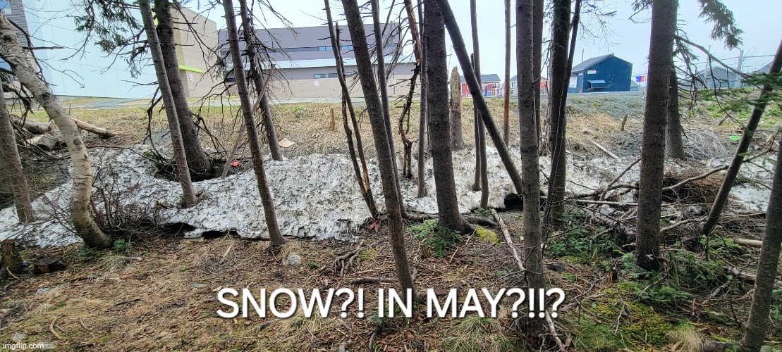 There's still snow on the ground near my house… :skull: | image tagged in fresh memes,snow,mems | made w/ Imgflip meme maker