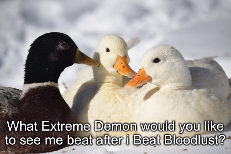Question. | What Extreme Demon would you like to see me beat after i Beat Bloodlust? | image tagged in dunkin ducks,geometry dash | made w/ Imgflip meme maker