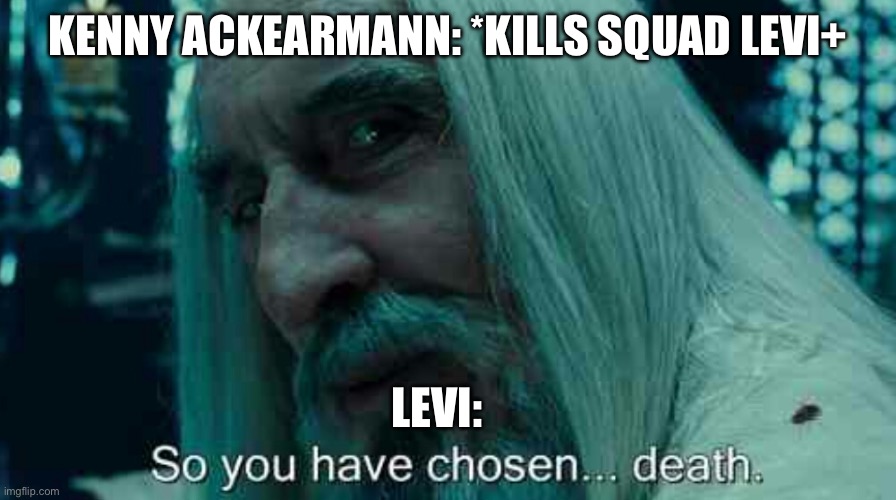 So you have chosen death | KENNY ACKEARMANN: *KILLS SQUAD LEVI+; LEVI: | image tagged in so you have chosen death | made w/ Imgflip meme maker
