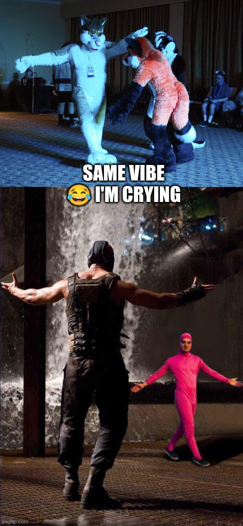 The photographer was SMwolf | SAME VIBE 😂 I'M CRYING | image tagged in pink guy vs bane | made w/ Imgflip meme maker