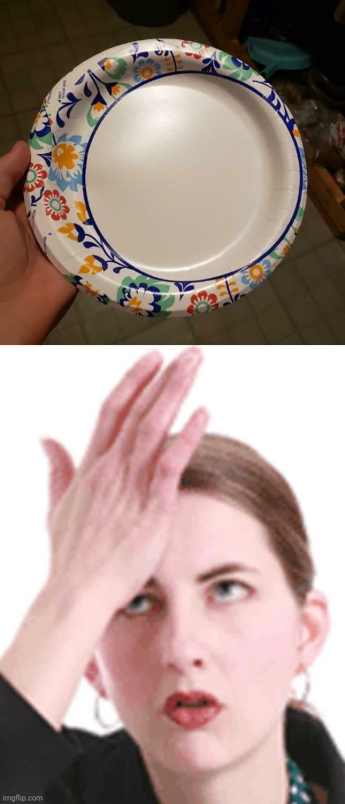 Paper plate | image tagged in self-head slap,memes,you had one job,plates,plate,paper plate | made w/ Imgflip meme maker
