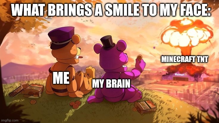 Minecraft TNT brings a smile to my face | WHAT BRINGS A SMILE TO MY FACE:; MINECRAFT TNT; ME; MY BRAIN | image tagged in freddy and freddy watching walmart blow up,minecraft,tnt,jpfan102504 | made w/ Imgflip meme maker