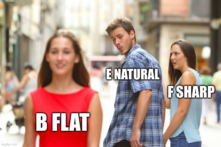 Distracted Boyfriend | E NATURAL; F SHARP; B FLAT | image tagged in memes,distracted boyfriend | made w/ Imgflip meme maker