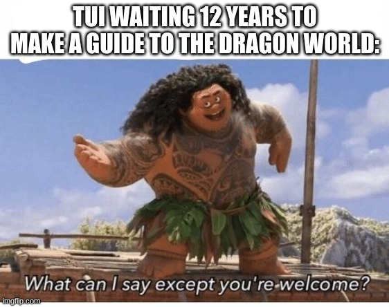 ((no title cuz I can't think of one)) | TUI WAITING 12 YEARS TO MAKE A GUIDE TO THE DRAGON WORLD: | image tagged in what can i say except you're welcome | made w/ Imgflip meme maker