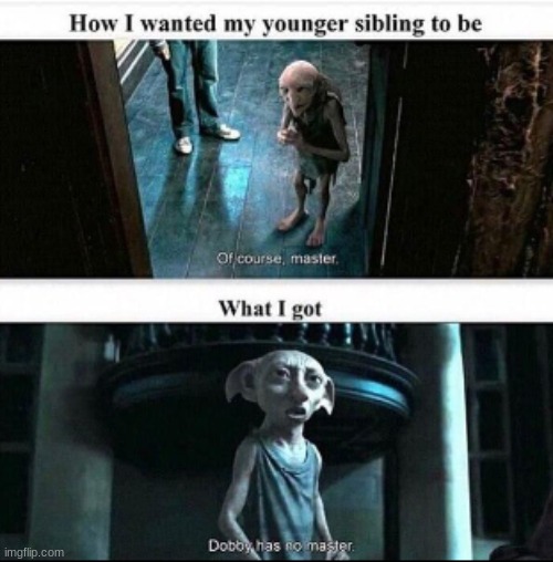FOR REAL | image tagged in harry potter,dobby | made w/ Imgflip meme maker
