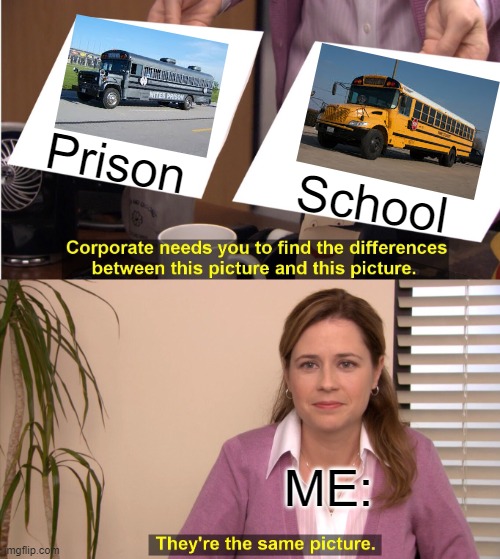 They're The Same Picture | Prison; School; ME: | image tagged in memes,they're the same picture | made w/ Imgflip meme maker
