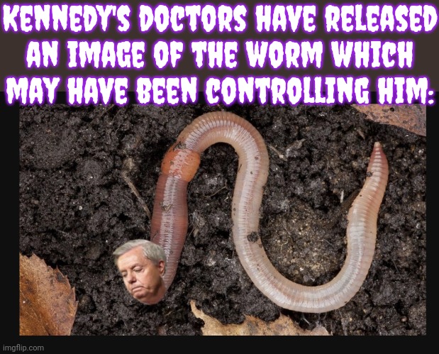 "Inside of you there are 2 worms" is not how the Cherokee saying goes. | Kennedy's doctors have released
an image of the worm which
may have been controlling him: | image tagged in wormy,lindsey graham,conservatives,mental illness,brainwashed,conspiracy theories | made w/ Imgflip meme maker