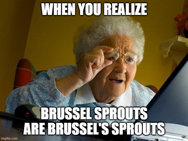 huh | WHEN YOU REALIZE; BRUSSEL SPROUTS ARE BRUSSEL'S SPROUTS | image tagged in memes,grandma finds the internet | made w/ Imgflip meme maker