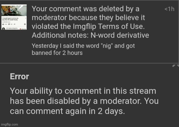 Apparently it's an offensive word | image tagged in nig | made w/ Imgflip meme maker