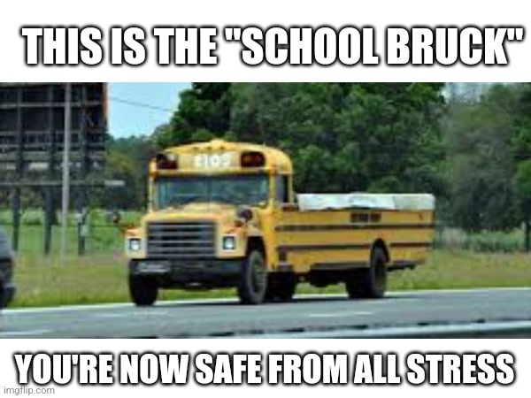 Safe | THIS IS THE "SCHOOL BRUCK"; YOU'RE NOW SAFE FROM ALL STRESS | made w/ Imgflip meme maker
