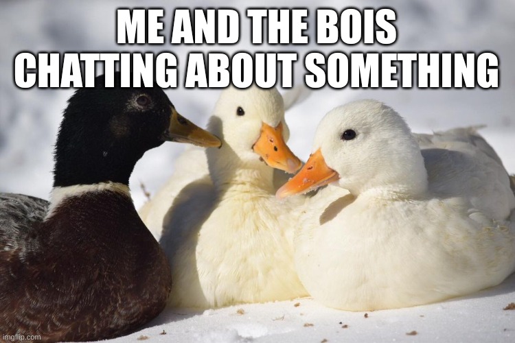 real | ME AND THE BOIS CHATTING ABOUT SOMETHING | image tagged in dunkin ducks,me and the boys,funny,memes | made w/ Imgflip meme maker