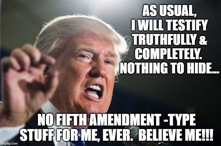 AS USUAL, I WILL TESTIFY TRUTHFULLY & COMPLETELY.  NOTHING TO HIDE... NO FIFTH AMENDMENT -TYPE STUFF FOR ME, EVER.  BELIEVE ME!!! | image tagged in donald trump | made w/ Imgflip meme maker