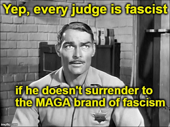 Yep, every judge is fascist if he doesn't surrender to     the MAGA brand of fascism | image tagged in lawman | made w/ Imgflip meme maker