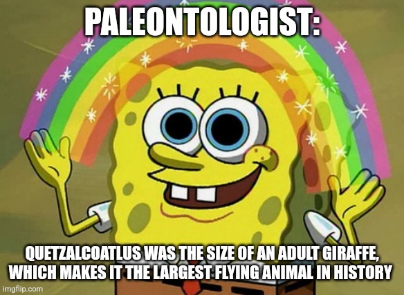 The largest flying animal | PALEONTOLOGIST:; QUETZALCOATLUS WAS THE SIZE OF AN ADULT GIRAFFE, WHICH MAKES IT THE LARGEST FLYING ANIMAL IN HISTORY | image tagged in memes,imagination spongebob,dinosaurs,jpfan102504 | made w/ Imgflip meme maker