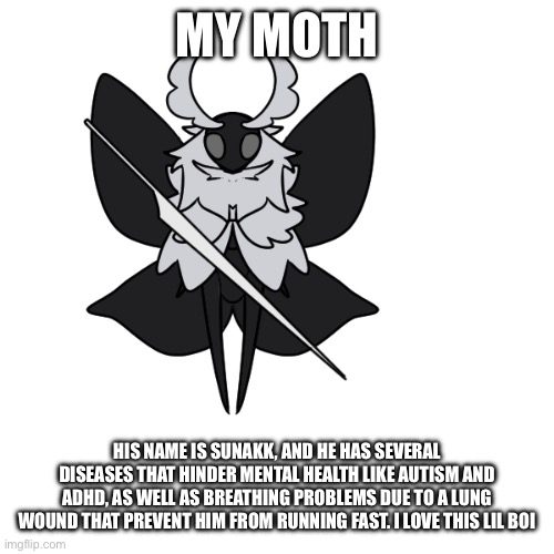 My hollow knight moth oc | MY MOTH; HIS NAME IS SUNAKK, AND HE HAS SEVERAL DISEASES THAT HINDER MENTAL HEALTH LIKE AUTISM AND ADHD, AS WELL AS BREATHING PROBLEMS DUE TO A LUNG WOUND THAT PREVENT HIM FROM RUNNING FAST. I LOVE THIS LIL BOI | image tagged in moth,hollow knight | made w/ Imgflip meme maker