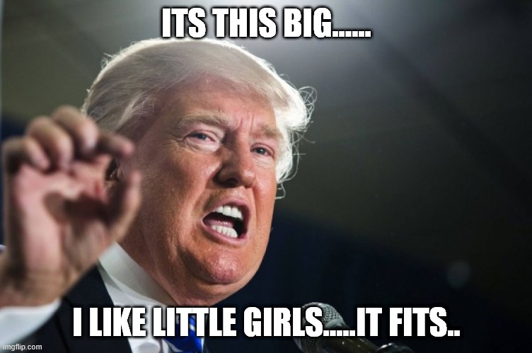 small man | ITS THIS BIG...... I LIKE LITTLE GIRLS.....IT FITS.. | image tagged in donald trump | made w/ Imgflip meme maker