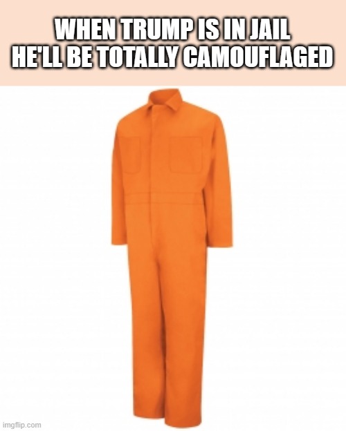 memes by Brad - Trump camouflage for jail - humor | WHEN TRUMP IS IN JAIL HE'LL BE TOTALLY CAMOUFLAGED | image tagged in funny,fun,funny meme,donald trump,jail,clothes | made w/ Imgflip meme maker