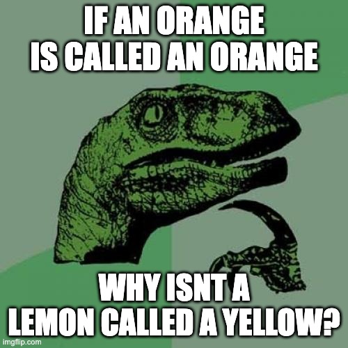 Hmm..... | IF AN ORANGE IS CALLED AN ORANGE; WHY ISNT A LEMON CALLED A YELLOW? | image tagged in memes,philosoraptor | made w/ Imgflip meme maker