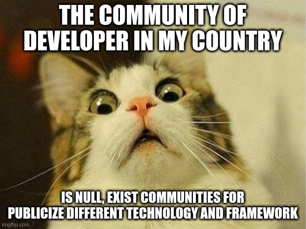developer | THE COMMUNITY OF DEVELOPER IN MY COUNTRY; IS NULL, EXIST COMMUNITIES FOR PUBLICIZE DIFFERENT TECHNOLOGY AND FRAMEWORK | image tagged in memes,scared cat | made w/ Imgflip meme maker