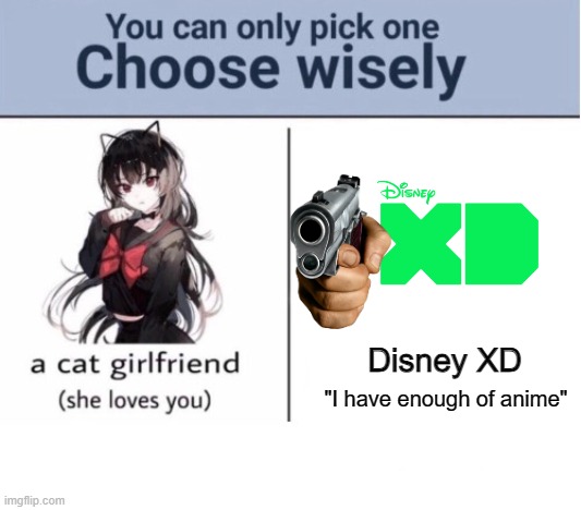 Choose wisely | Disney XD; "I have enough of anime" | image tagged in choose wisely | made w/ Imgflip meme maker