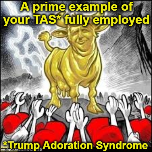 A prime example of your TAS* fully employed *Trump Adoration Syndrome | made w/ Imgflip meme maker