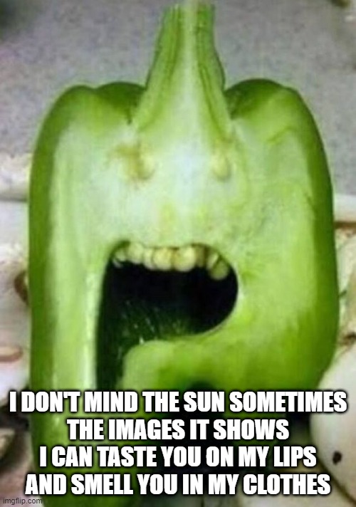 Butthole Surfers | I DON'T MIND THE SUN SOMETIMES
THE IMAGES IT SHOWS
I CAN TASTE YOU ON MY LIPS
AND SMELL YOU IN MY CLOTHES | image tagged in awesome music | made w/ Imgflip meme maker