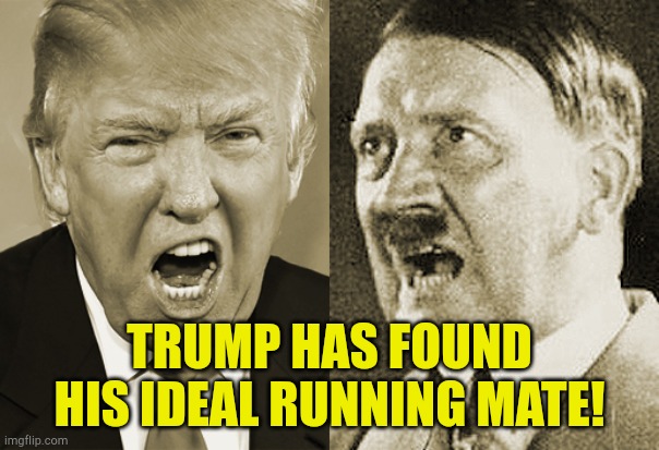 Running mate, birds of a feather | TRUMP HAS FOUND HIS IDEAL RUNNING MATE! | image tagged in trump hitler | made w/ Imgflip meme maker