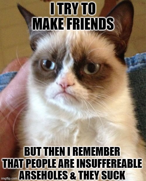 Trying to make friends | I TRY TO MAKE FRIENDS; BUT THEN I REMEMBER THAT PEOPLE ARE INSUFFEREABLE ARSEHOLES & THEY SUCK | image tagged in memes,grumpy cat | made w/ Imgflip meme maker