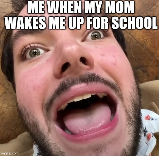 ME WHEN MY MOM WAKES ME UP FOR SCHOOL | image tagged in funny memes | made w/ Imgflip meme maker