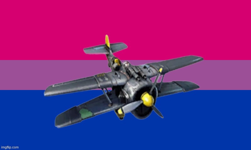 Biplane | image tagged in bi flag,bisexual,lgbtq,puns,plane,airplane | made w/ Imgflip meme maker