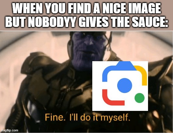 google lens always the the plan b if nobody gives the sauce | WHEN YOU FIND A NICE IMAGE BUT NOBODYY GIVES THE SAUCE: | image tagged in fine ill do it myself thanos,memes,funny memes,relatable memes,google lens | made w/ Imgflip meme maker